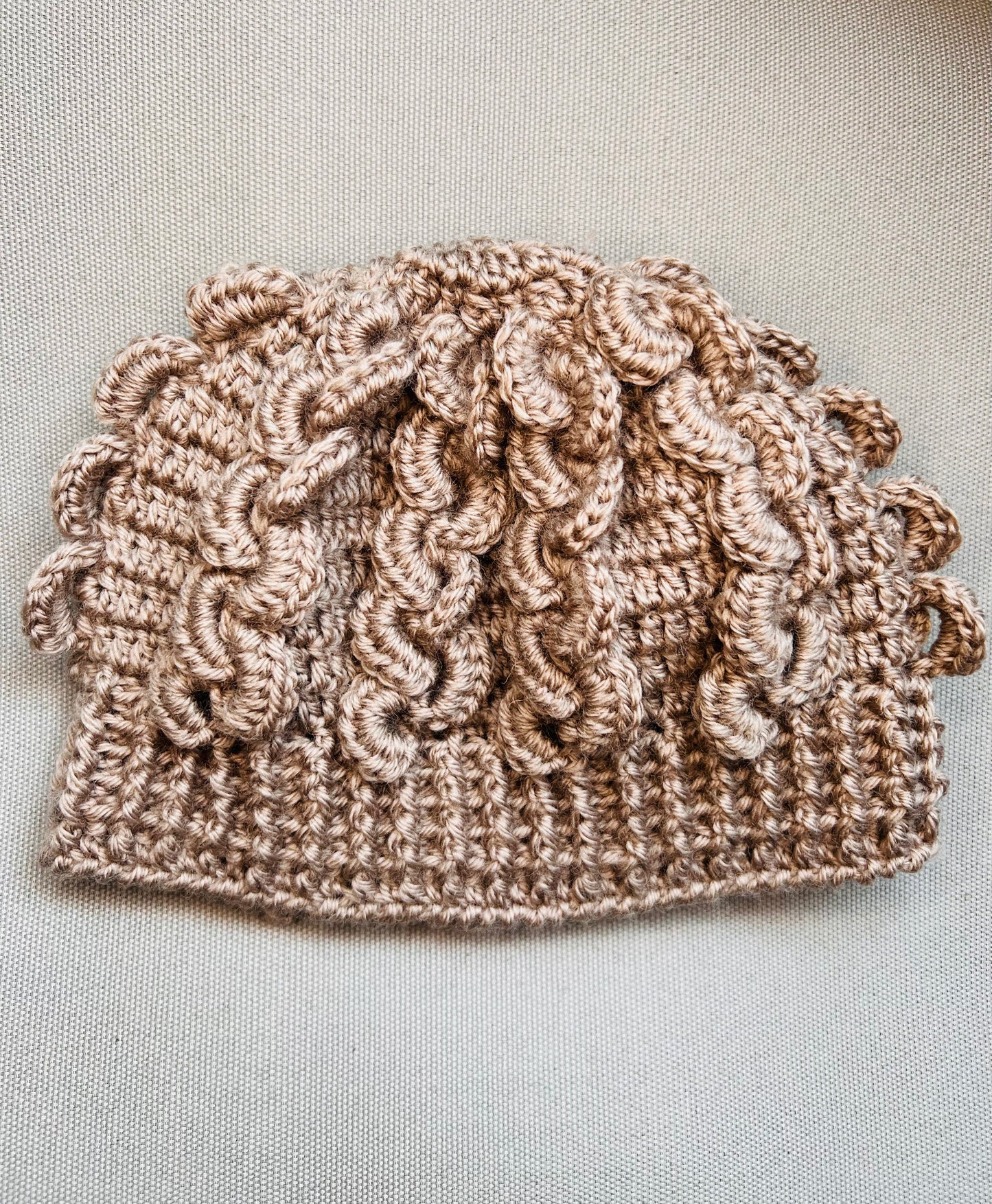 The Braid Toque